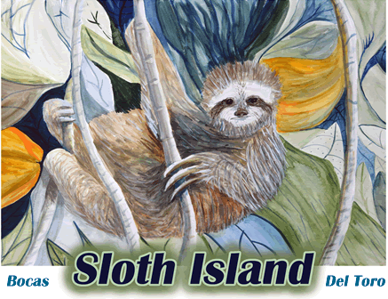 >Sloth Island Bocas Del Toro